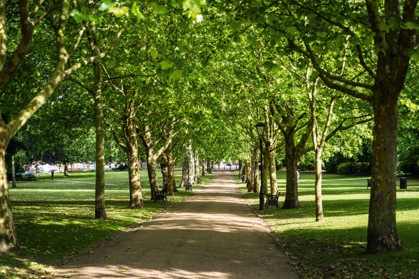 Lie in the shade at The Vines Park