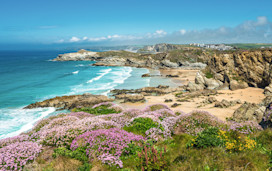Newquay coastline