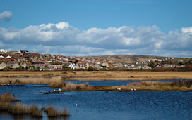 RSPB Lodmoor, Weymouth