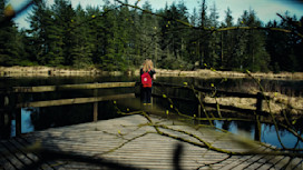 Grizedale Forest in the Lake District