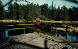 Grizedale Forest in the Lake District