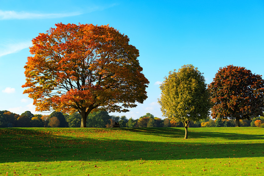 October