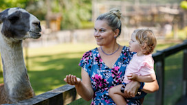 Adorable toddler girl and young mother petting animals in zoo.