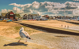 Whitstable seafront