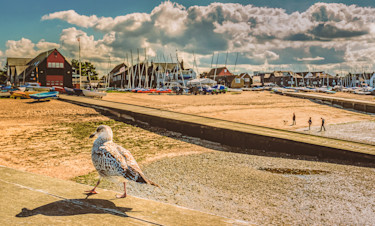 Whitstable seafront