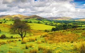 Exmoor National Park, Somerset