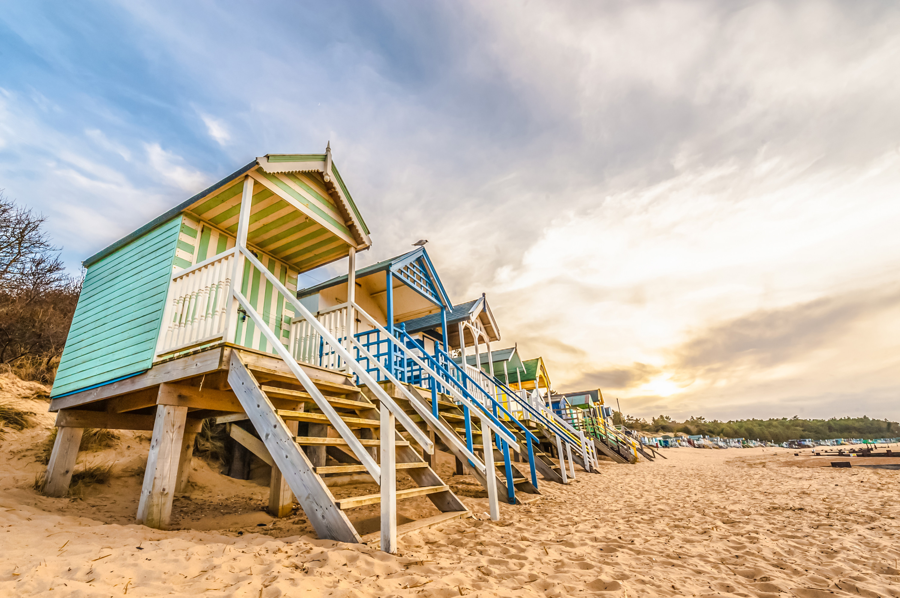 is gorleston beach dog friendly