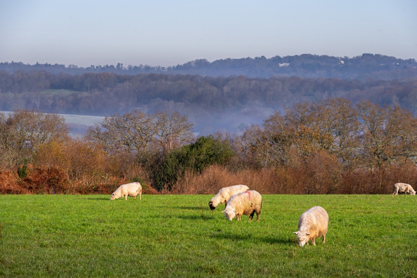 High Weald AONB