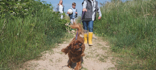 Dogs welcome at Caister-on-Sea