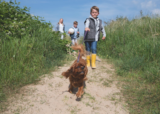 Top 5 things to do near Caister-on-Sea and on park