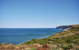 The clifftop heading towards Bempton Cliffs.