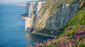 Bempton Cliffs