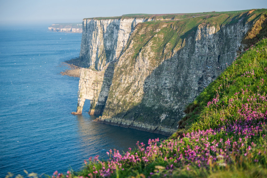 4. Visit Bempton Cliffs