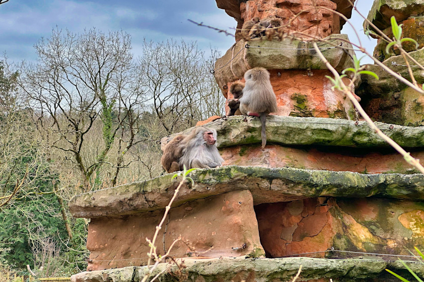 Best places to visit for babies and toddlers in Devon