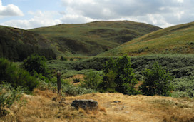 Wooler Common in Northumberland