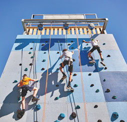 The three ropes on the climbing wall at Cleethorpes Beach