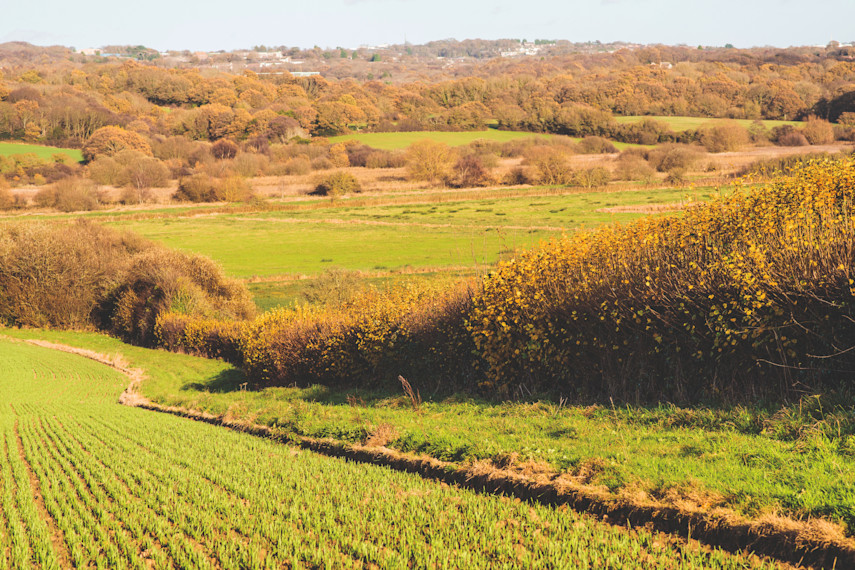 3. Visit Combe Valley Countryside Park