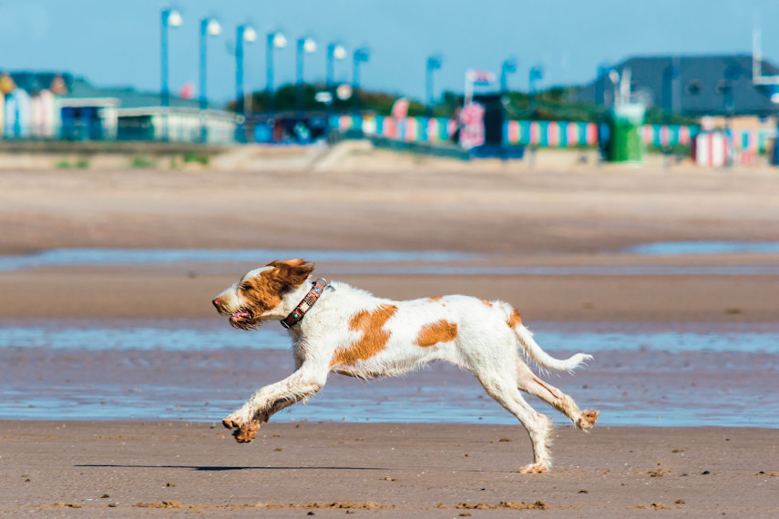 Ingoldmells Beach, Ingoldmells