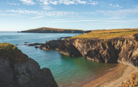 Cardigan Island Coastal Farm Park