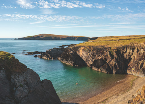 Things to do in Ceredigion