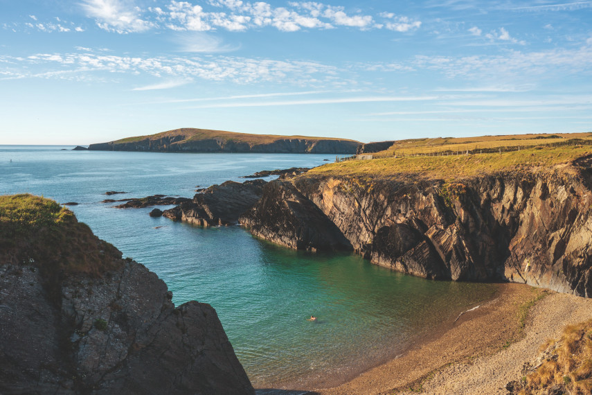 Cardigan Island Coastal Farm Park