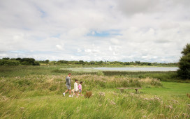 Walking at Marton Mere