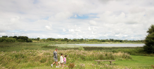 Walking at Marton Mere