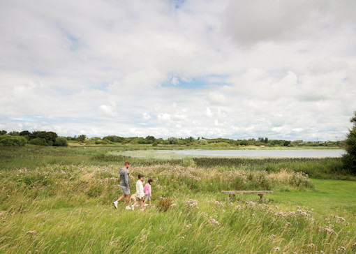 Top 5 things to do near Marton Mere and on park