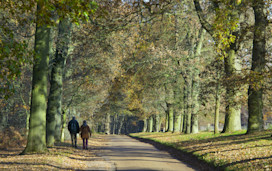 Felbrigg Walk