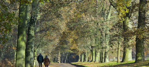 Felbrigg Walk