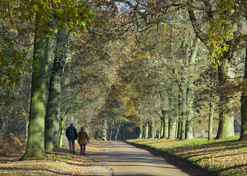 Best walks in Norwich