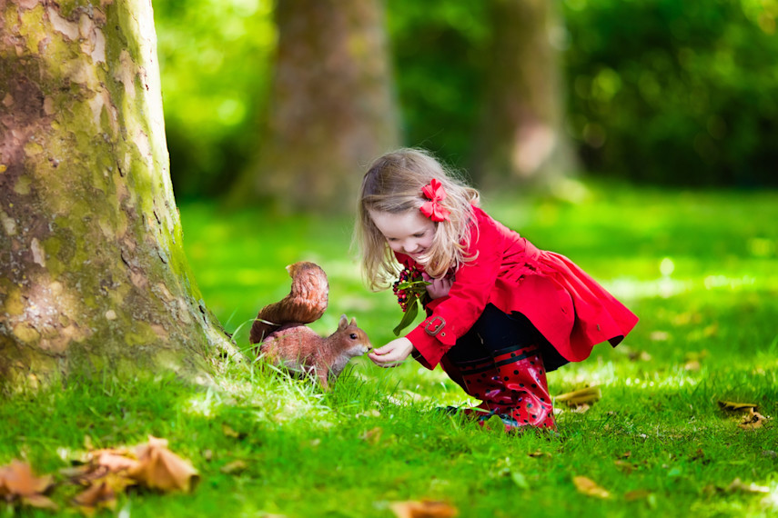 Best places to visit for kids aged 4-11 in Dorset