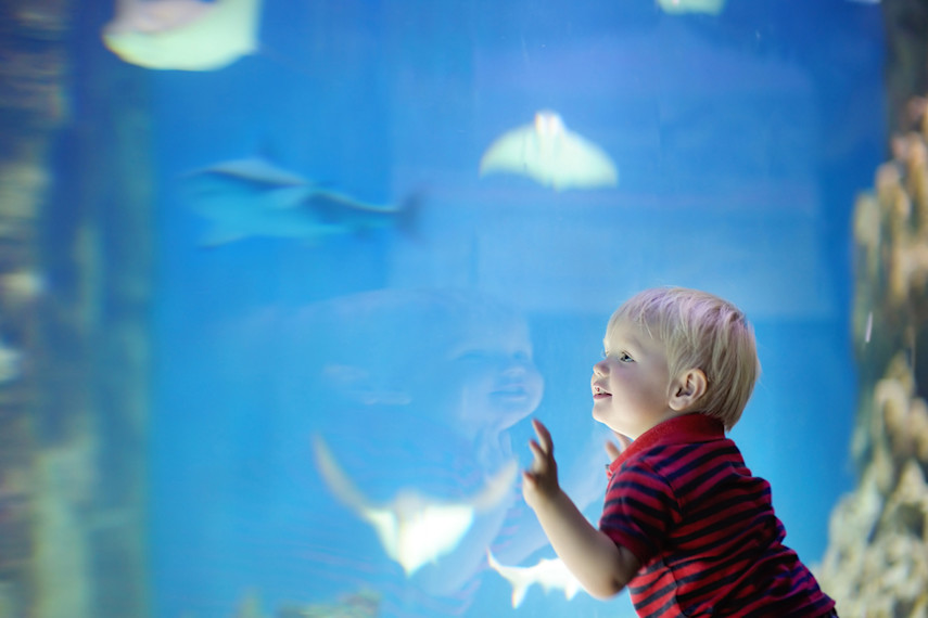 Best places to visit for babies and toddlers in Lincolnshire