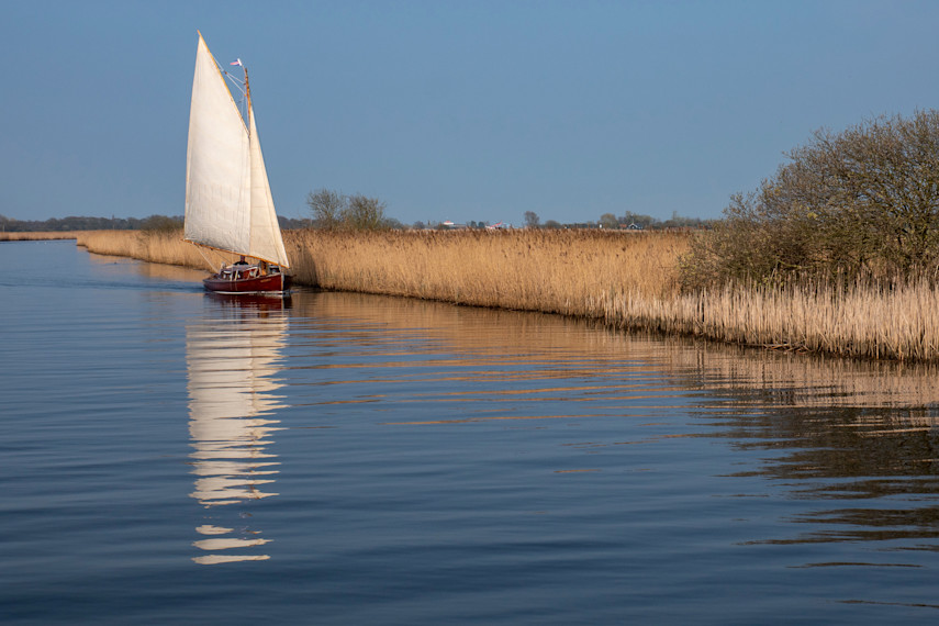 2. North Walsham and Dilham Canal Boat Tours
