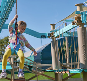 The Mini Aerial Adventure course has exciting elements such as disc walkways and a zip wire, just like the grown-up version