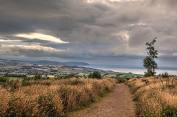 The beautiful Quantock Hills area in Somerset.