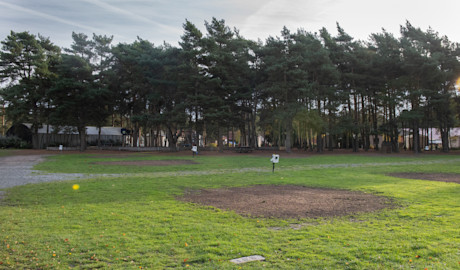 Basic Pitch