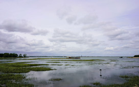 Riverside Country Park, Medway