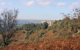 Castle Drogo and Cod Wood