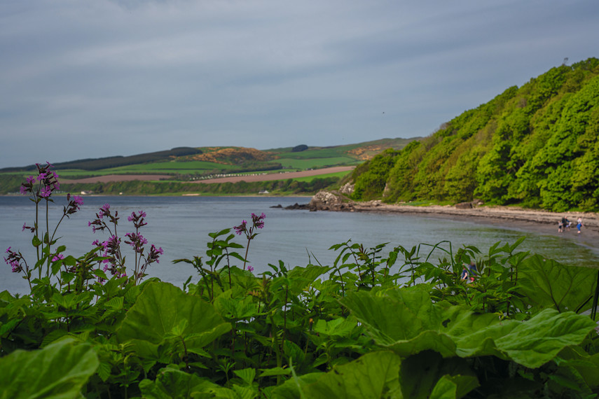6. Coastal trail to Ayr