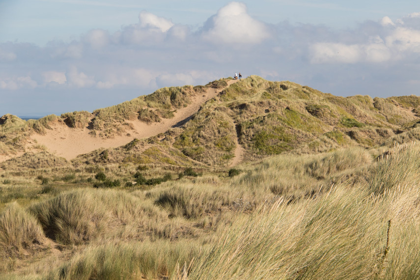 Gronant Dunes Nature Reserve 