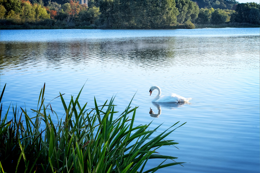 1. Get active at Whitlingham Country Park 