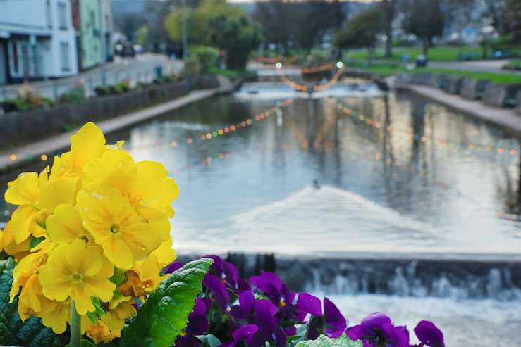 Things to do in Dawlish, Devon | Haven