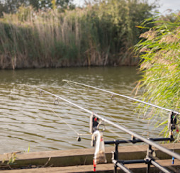 Specimen fishing at Orchards