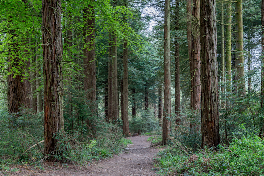 10. Coosebean Woodland & Enchanted Nature Trail