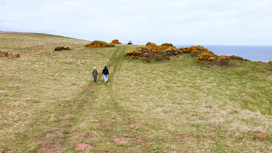 Trail in Berwick upon Tweed