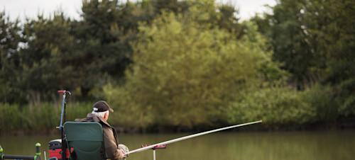 1. Go fish!