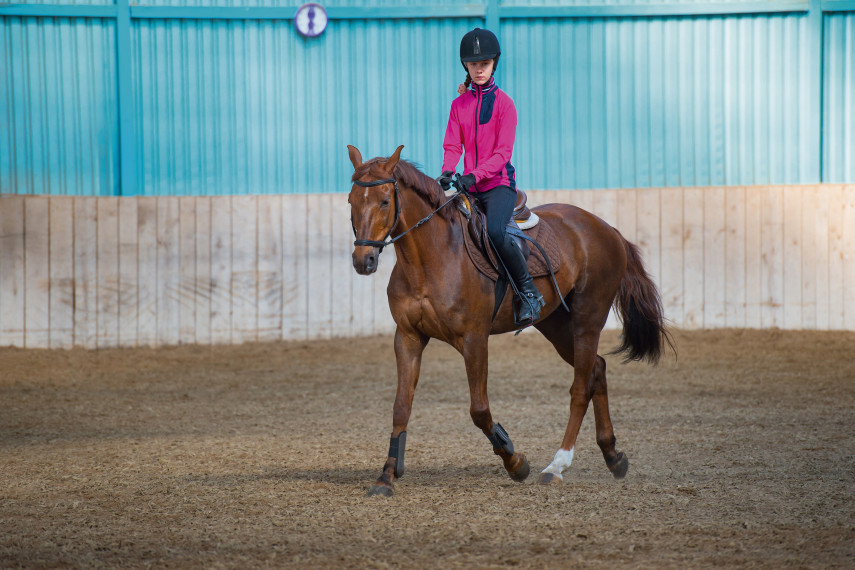 10. Monty’s Equestrian Centre, Holland-on-Sea