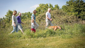 Family walk
