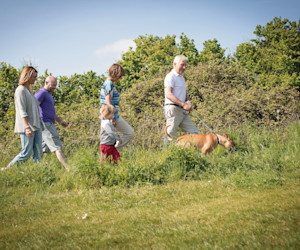 Family walk
